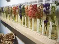 LUFF Flower&PlantsWORKSの写真_163405