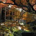 途中の川沿いの道の写真_163432