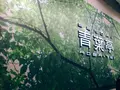 青葉亭 仙台エスパル店の写真_163532