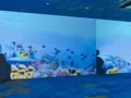 仙台うみの杜水族館の写真_163547