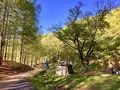 トーベ・ヤンソンあけぼの子どもの森公園の写真_164856