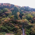 最上川舟下り義経ロマン観光の写真_164907