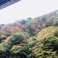 最上川舟下り義経ロマン観光の写真_164912