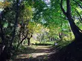 若松寺の写真_164949