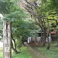 最上川舟下り義経ロマン観光の写真_165038