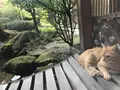 旅亭 山の井の写真_165092