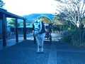 由布院駅の写真_165169