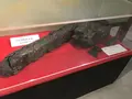 いろは丸展示館の写真_165250