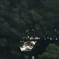 仙酔島の写真_165299