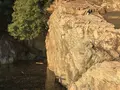 仙酔島の写真_165301