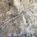 仙酔島の写真_165302
