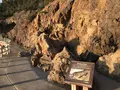 仙酔島の写真_165303