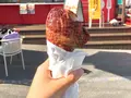 富士急ハイランドの写真_165338