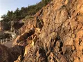 仙酔島の写真_165352