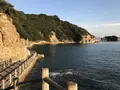 仙酔島の写真_165359