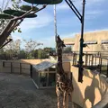 旭川市 旭山動物園の写真_165389