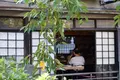 京都駅の写真_165392