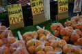 ヤマホ青果びっくり市の写真_165590