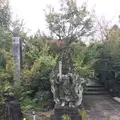 石薬師寺の写真_165906