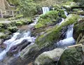 天徳寺の写真_166214