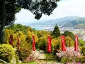 青葉山 中山寺の写真_166216