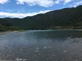 佐田沈下橋の写真_166256