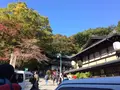 高尾山の写真_166458