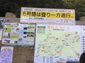 高尾山の写真_166461