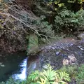 高尾山の写真_166465