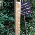 高尾山の写真_166468