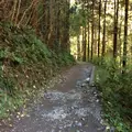 高尾山の写真_166471