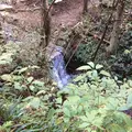 高尾山の写真_166472