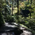高尾山の写真_166473