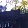 高尾山の写真_166474