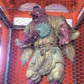 高尾山の写真_166489