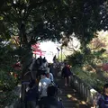 高尾山の写真_166492