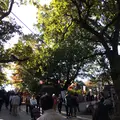 高尾山の写真_166498