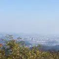 高尾山の写真_166508