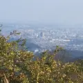 高尾山の写真_166509