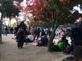 高尾山の写真_166514