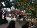 高尾山の写真_166515