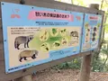 高尾山の写真_166527