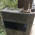 高尾山の写真_166529