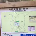 高尾山の写真_166530