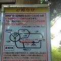 高尾山の写真_166531