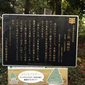 たこ杉の写真_166532