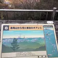 高尾山の写真_166557