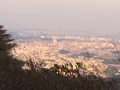 高尾山の写真_166559