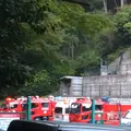 高尾山の写真_166561