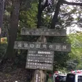 高尾山の写真_166562